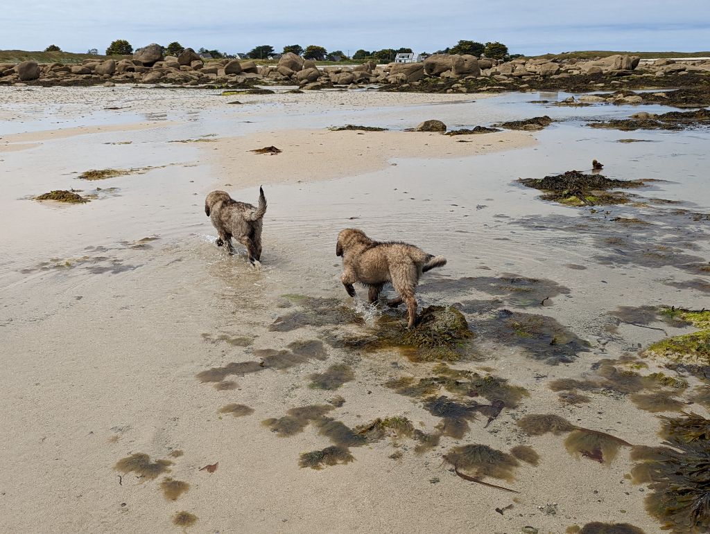 An nor digor - à la découverte de la plage